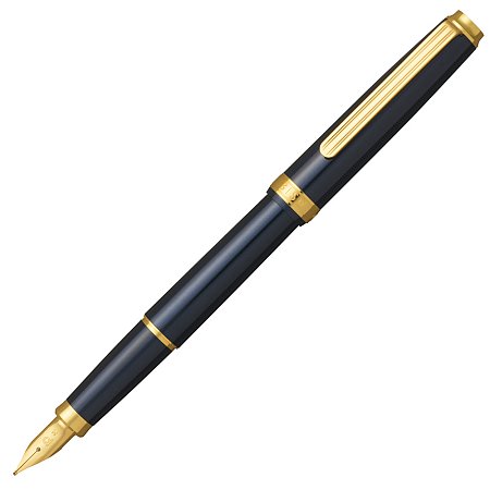 Platinum Biso Nebula Black - Fountain [M]